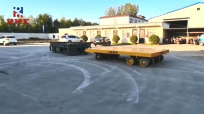 Carro de transferència sense pista personalitzat
